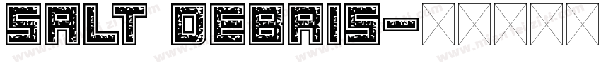 Salt Debris字体转换